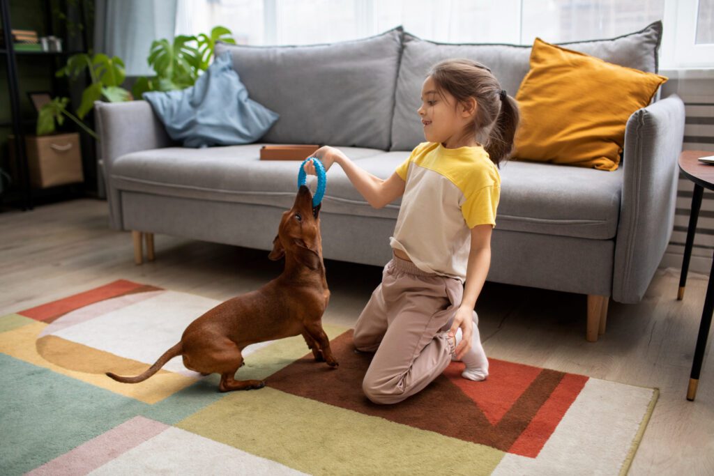 Child and dog playing on freshly cleaned carpet in a San Jose living room